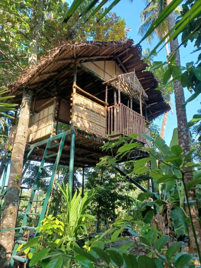Kayyalas Courtyard Thrissur Екстер'єр фото